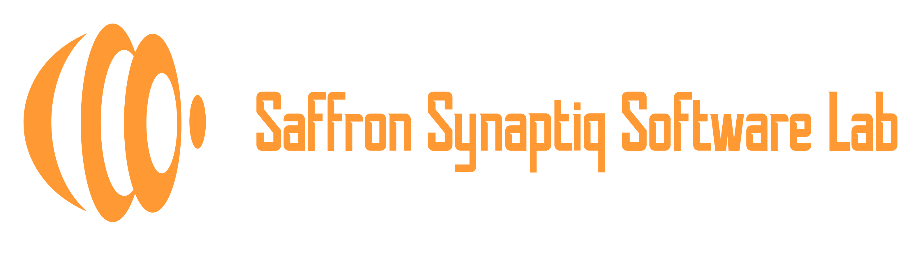 Saffron Synaptiq Software Lab